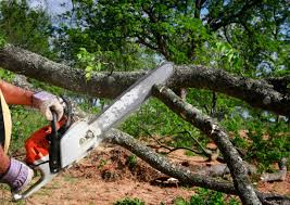 Landscape Design and Installation in Peabody, MA